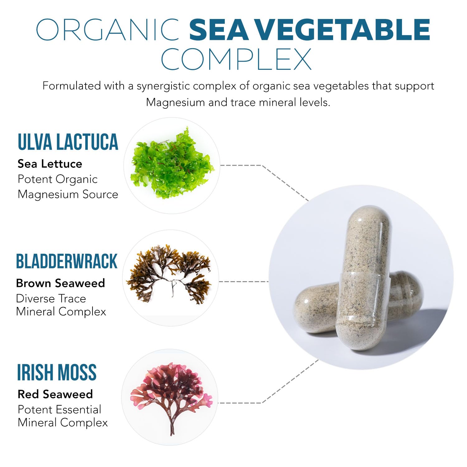 Organic Whole Food Magnesium Supplement - Plant-Based, Organic Sea Vegetable Complex - 250 mg Per Serving | Water Extracted | Gentle on Stomach | Supports Energy, Sleep, Muscle, Heart - 60 Capsules Triquetra Health buy australia supplements