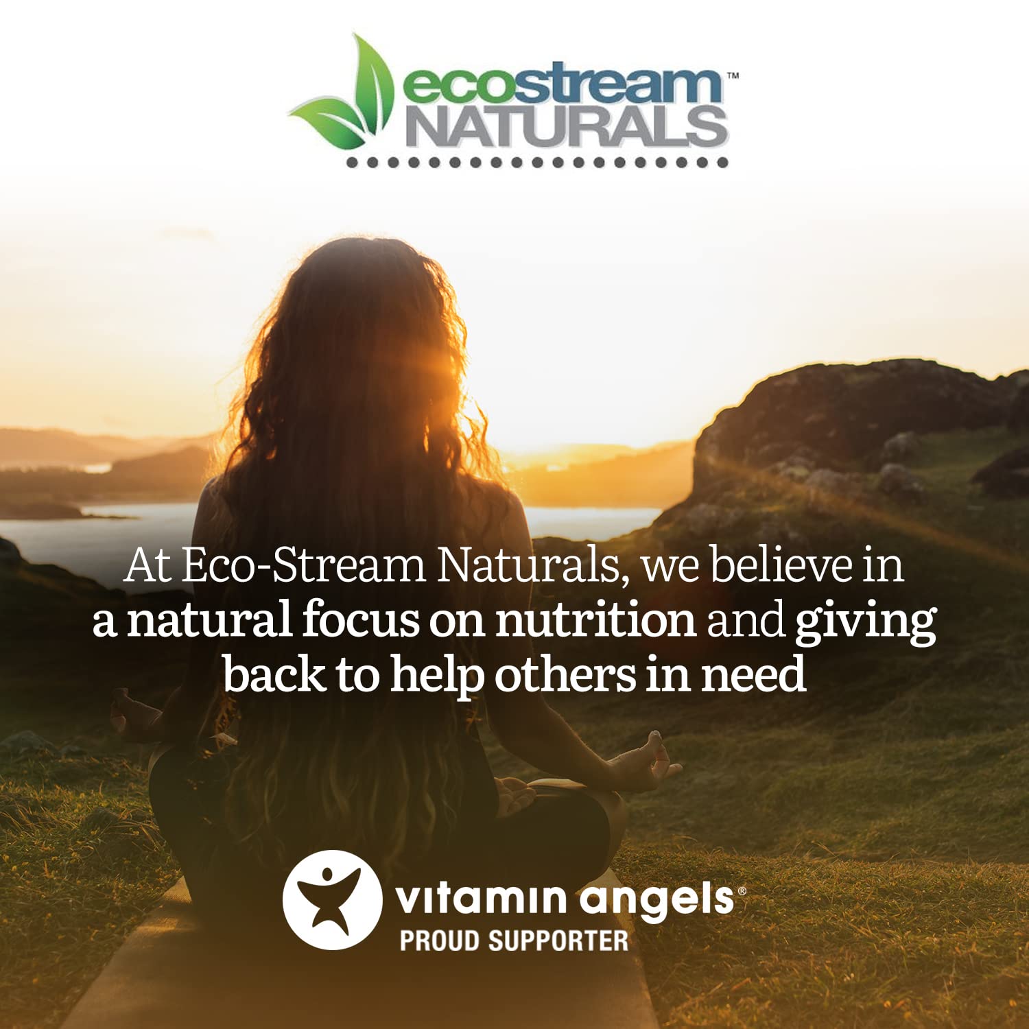 ecostream Naturals Vital First Daily Greens Superfood Powder 50 Whole Super Foods with Spirulina, Chlorella, Flax Seed, Fiber and Enzymes with Organic Greens - 30 Servings ecostream Naturals buy australia supplements
