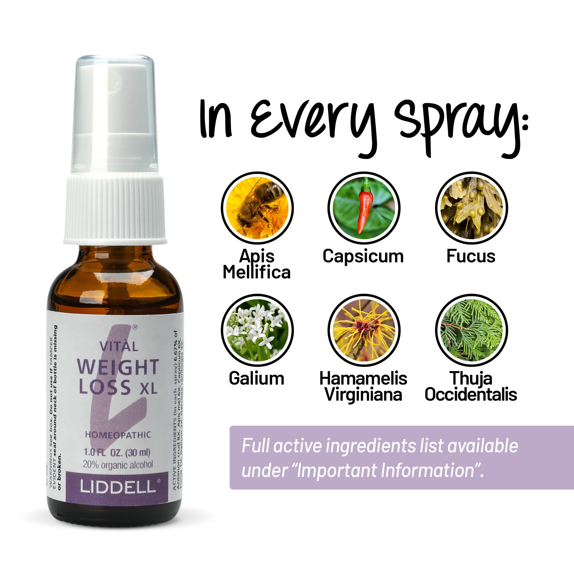 VITL Weight Loss XL Liddell Homeopathic 1 oz Liquid Liddell buy australia supplements