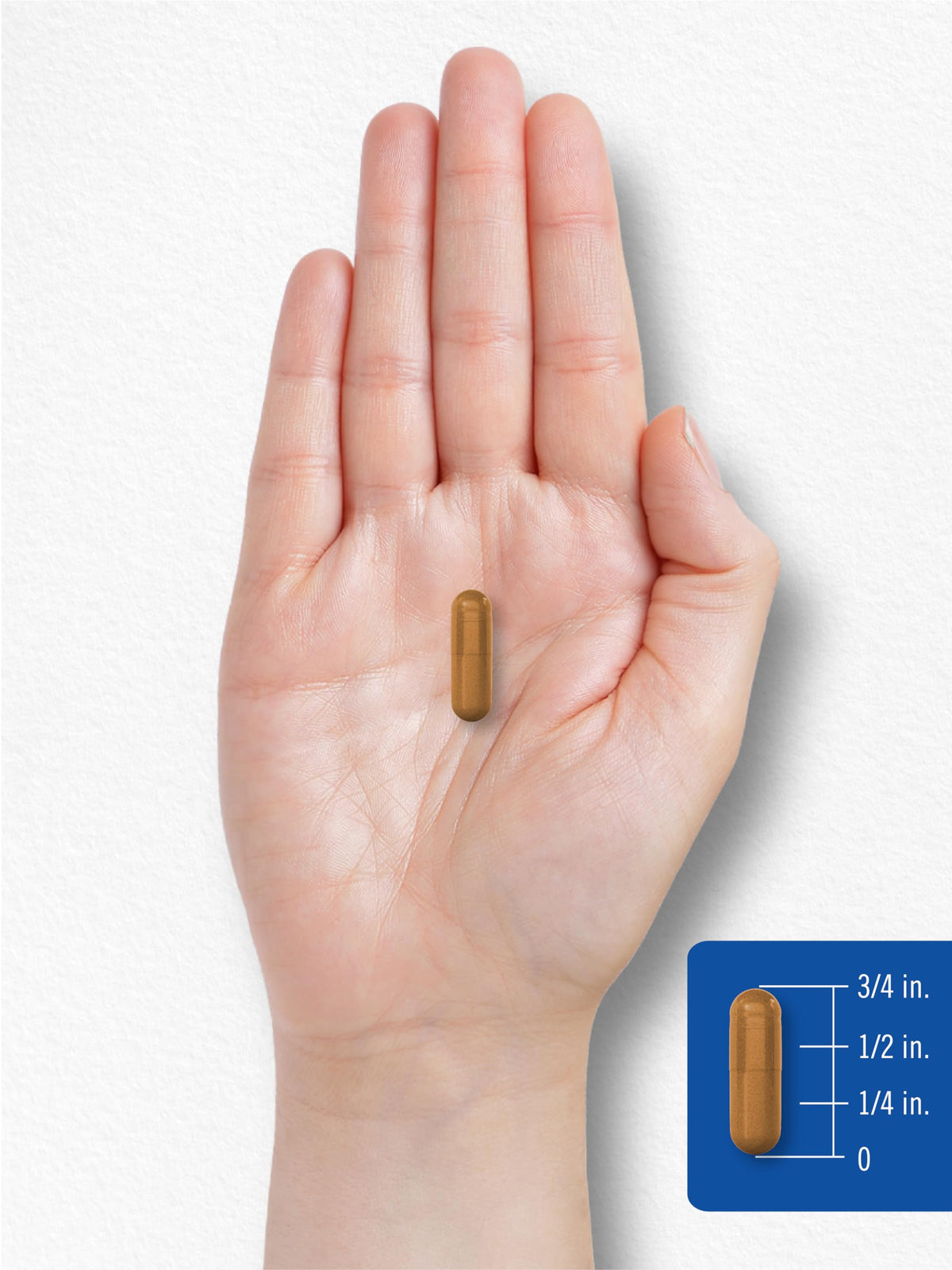 Carlyle Vitamin B-2 400mg | 180 Count | Non-GMO, Gluten Free Supplement | B2 Riboflavin Carlyle