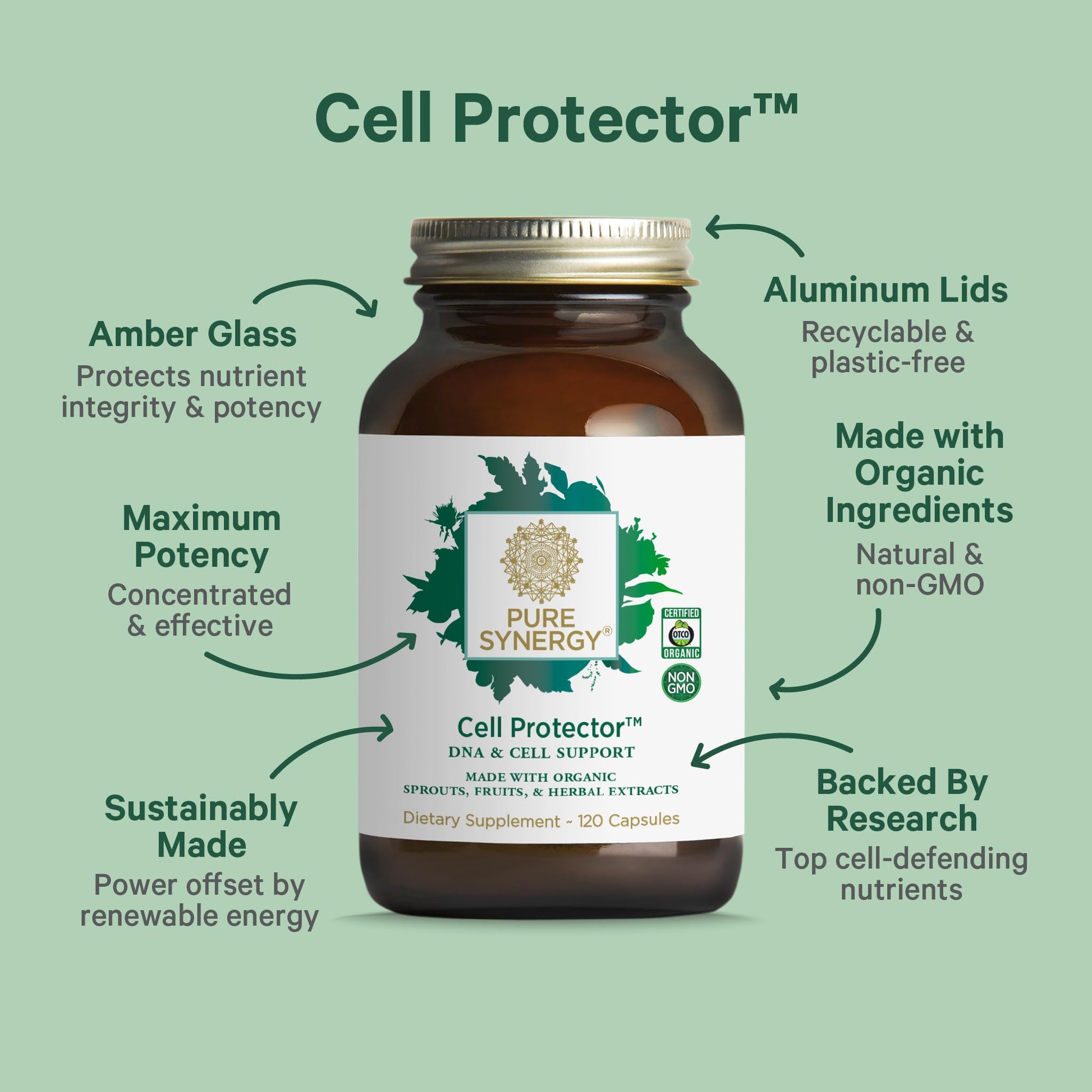 PURE SYNERGY Cell Protector | Cellular Health Supplement | Cell and Immune Support with Selenium and Organic Cruciferous Vegetables | for Healthy Aging & Detoxification (120 Capsules) PURE SYNERGY buy australia supplements