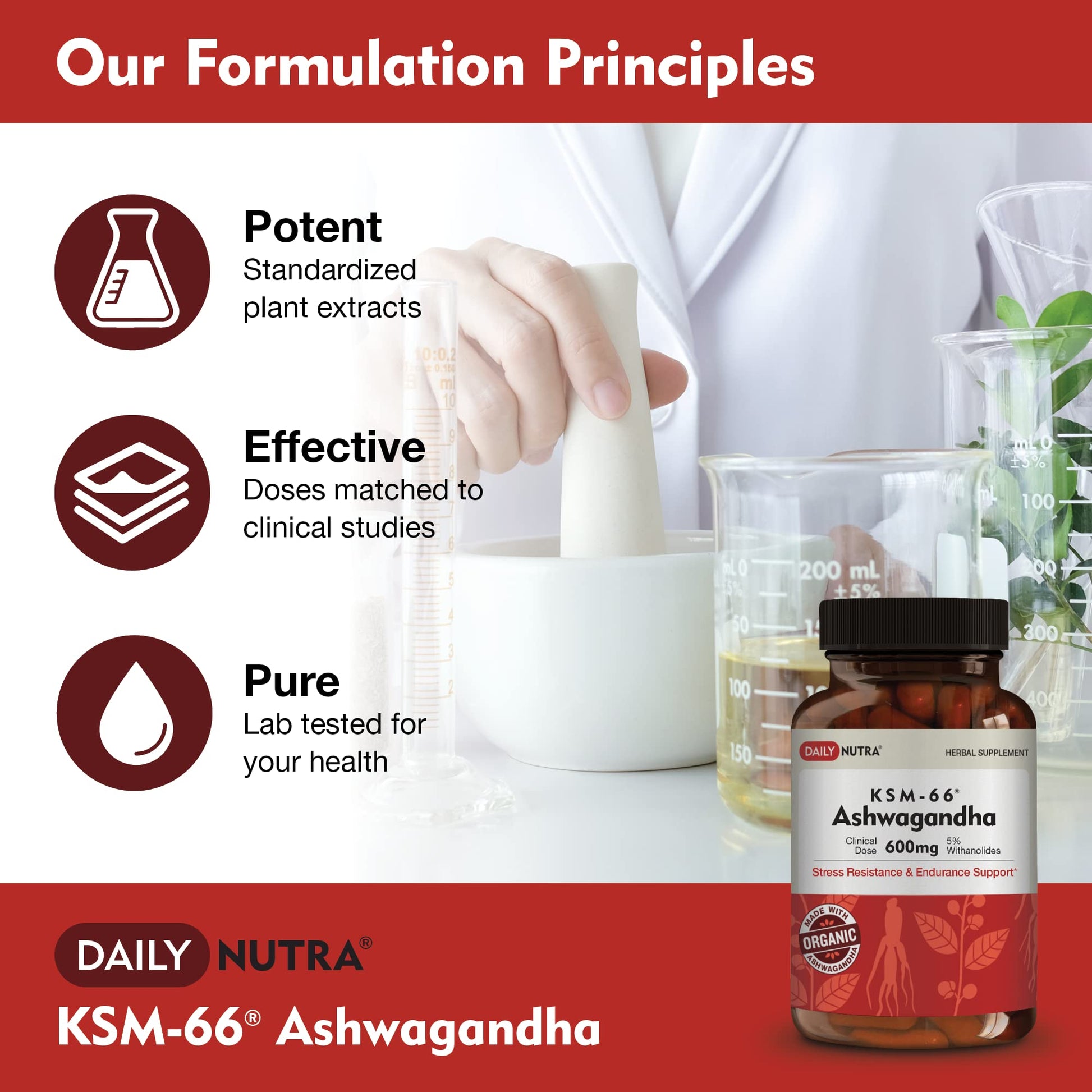 DailyNutra KSM-66 Ashwagandha 600mg Organic Root Extract - High Potency Supplement with 5% Withanolides | Relieves Tiredness, Supports Relaxation, Focus, Energy, & Muscle Growth (90 Capsules) DailyNutra buy australia supplements