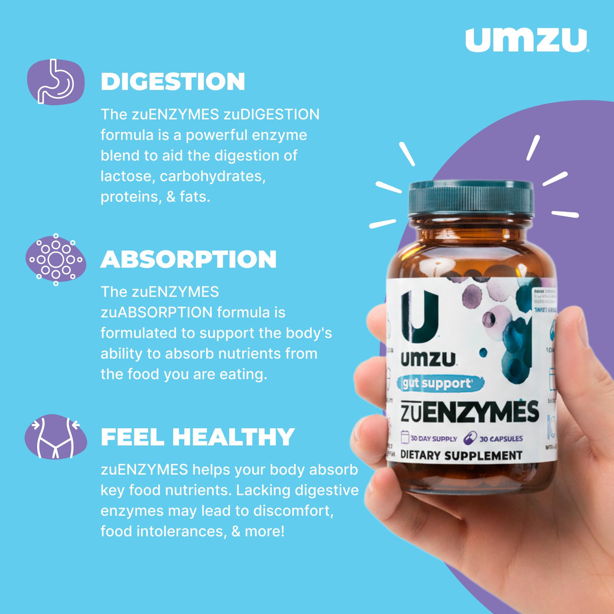 UMZU zuEnzymes Digestive Support Supplement, (30 Day Supply) – 21 Enzyme Blend with Lipase Protease & Amylase – Digestive Enzymes for Gut Health & Probiotic Daily UMZU