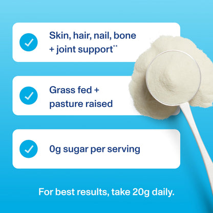 Vital Proteins Collagen Peptides Powder - Supports Hair, Nail, Skin, Bone & Joint Health, Unflavored, Collagen Protein 9.33 OZ Vital Proteins
