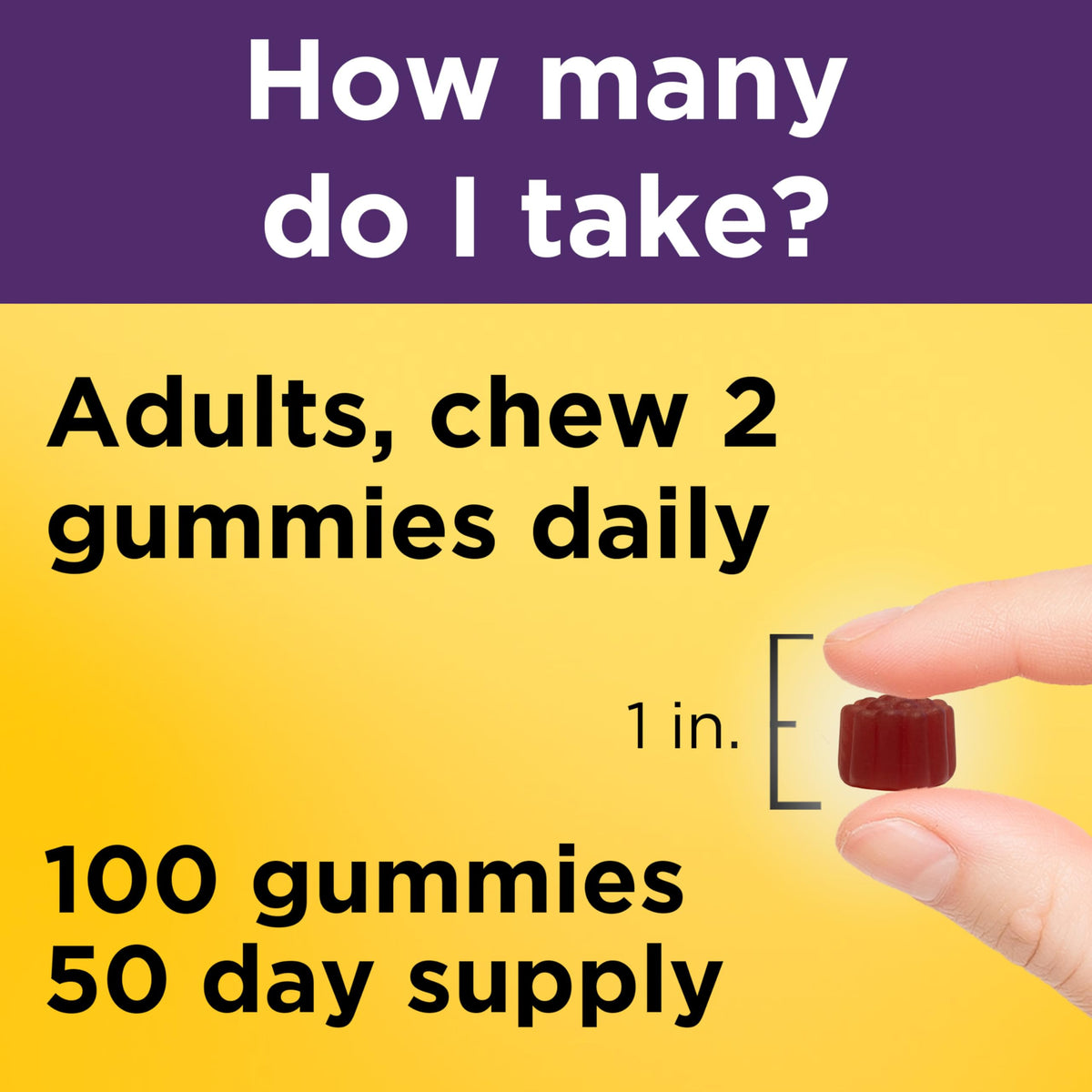 Nature Made Elderberry Gummies with Vitamin C and Zinc, Dietary Supplement for Immune Support Nature Made
