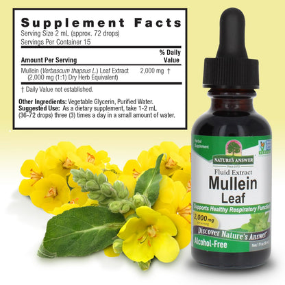 Nature's Answer Mullein Herb - Mullein Leaf Extract for Lungs - Alcohol Free, Non GMO, Made in USA - Supports Respiratory Function & Promotes Healthy Lungs Nature's Answer