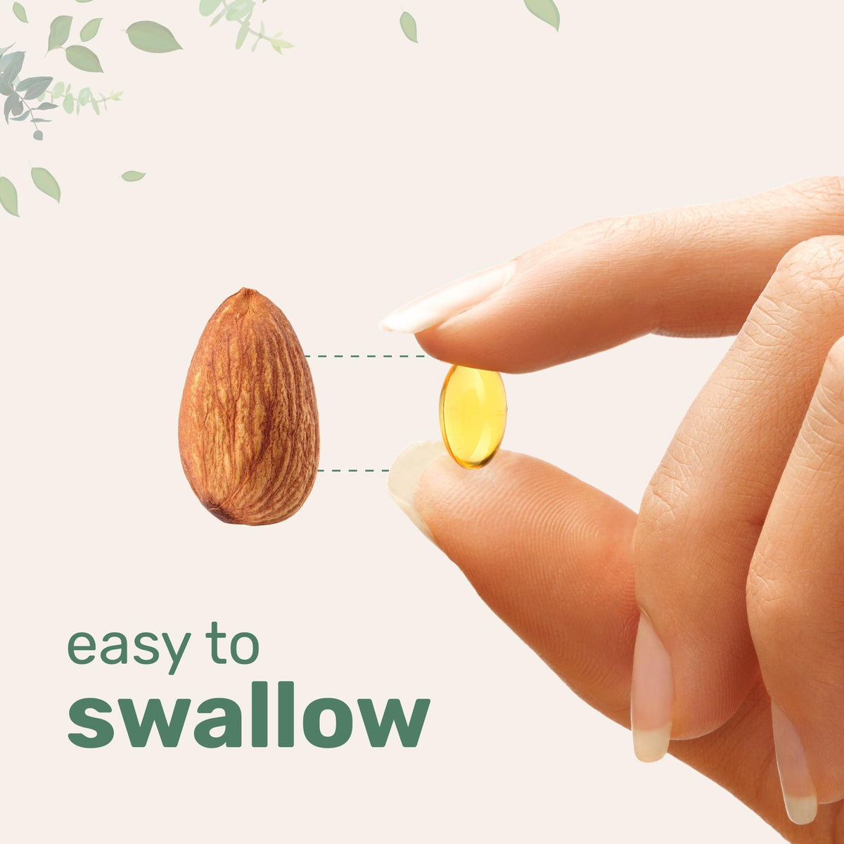 Micro Ingredients Vegan Omega 3 Algae Oil, 240 Veggie Softgels | Fish Oil Alternative | DHA 500mg & DPA 100mg | Carrageenan Free | Plant-Based Omega 3 Micro Ingredients