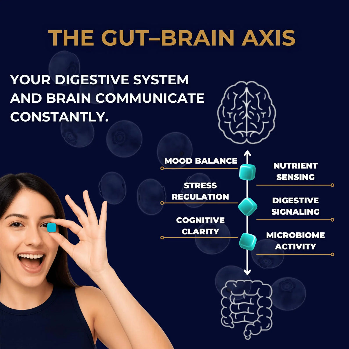 Gut Health & Bloating Relief Gummies – Digestion Support with Prebiotic Fiber, Inulin & Ashwagandha – Stress, Nervous Stomach, Sleep & Calm Support – Gut-Brain Axis Formula Global-List LLC