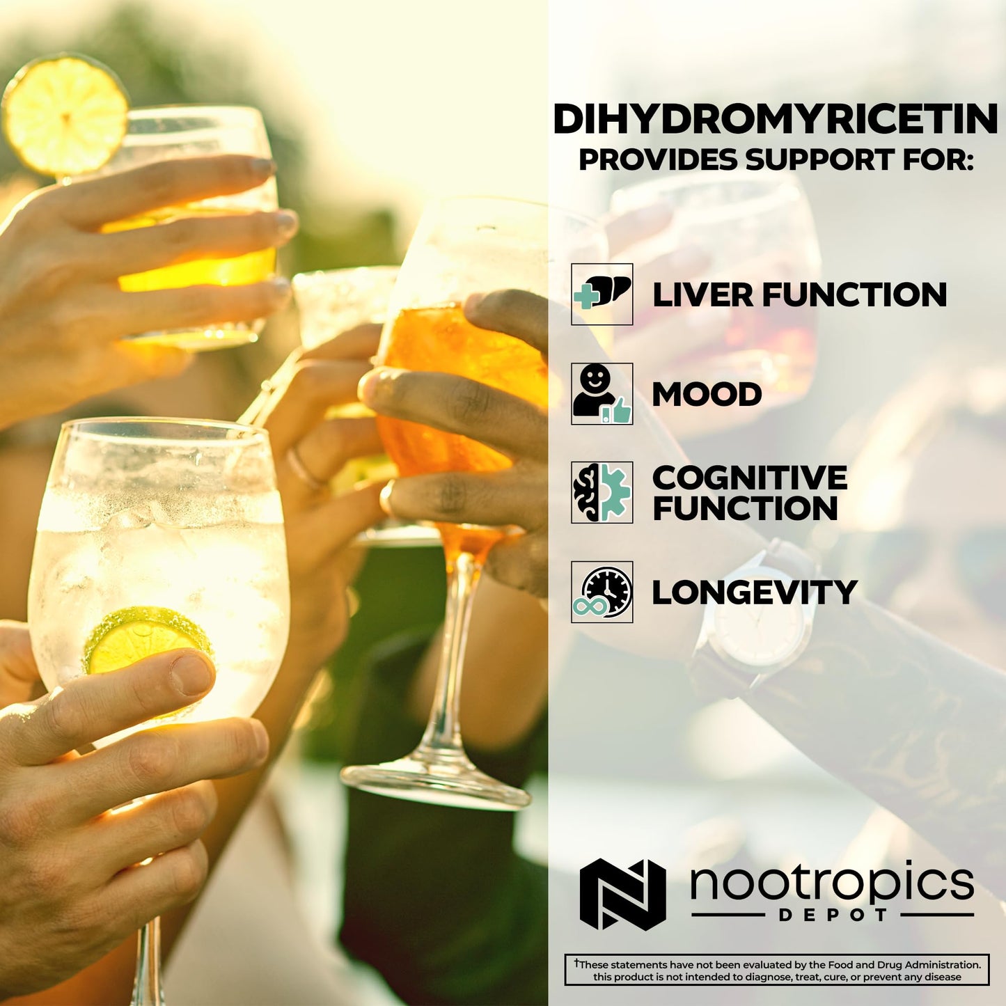 Nootropics Depot Dihydromyricetin (DHM) Capsules | After Drinking Support & Next Day Recovery | DHM Supplement | Supports Alcohol Metabolism | Vine Tea Extract (Ampelopsis grossedentata) | 60ct