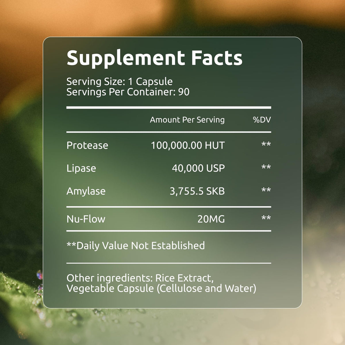 Boulder Bio Digestive Enzymes | 40,000 USP Lipase - Prescription Strength Pancreatic Enzyme Replacement Formula for Fat Digestion, Gut Health & Nutrient Absorption Boulder Bio