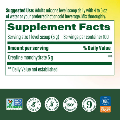 MegaFood Micronized Creatine Monohydrate Powder - Unflavored Post & Pre Workout Powder for Men & Women - Cognitive & Exercise Performance Support MegaFood