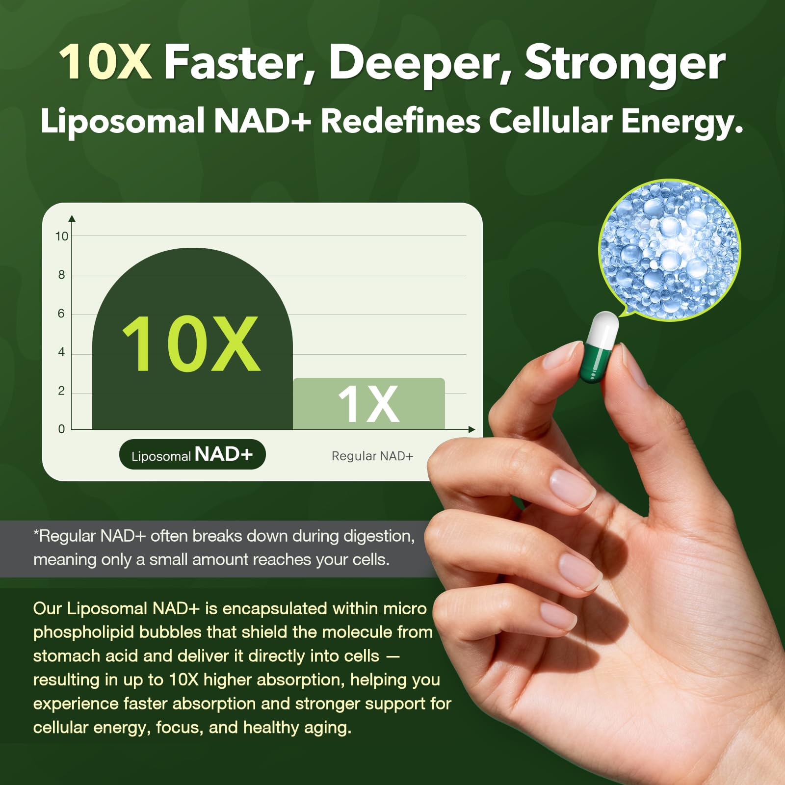 Nad Resveratrol Supplement 61800mg Per Bottle – Liposomal Nad+ Resveratrol for Women & Men – High Purity 1200mg Nad+ Supplement for Energy & Healthy Aging, Resveratrol, Quercetin, CoQ10 – 90 Counts VCBIRD buy australia supplements