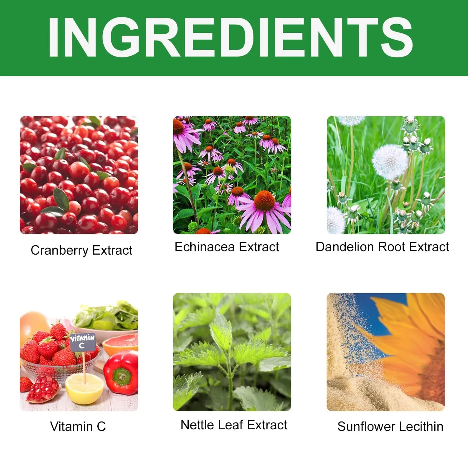 Urinary Tract for Cats, Cat & Dog Urinary Tract Drops Infection Remedy with Cranberry Dog Supplements, Cranberry Kidney Bladder Support Supplement - 60ml / 2 Fl.oz JoanofArc buy australia supplements