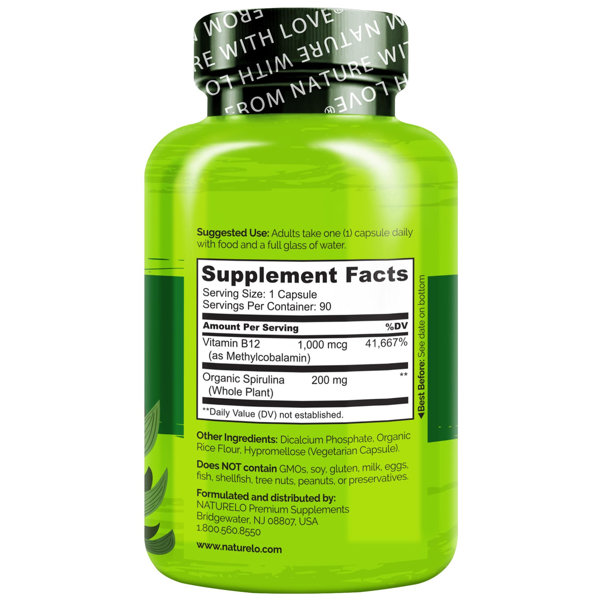 NATURELO Vegan B12 - Methyl B12 with Organic Spirulina - High Potency Vitamin B12 1000 mcg Methylcobalamin - Supports Healthy Mood NATURELO