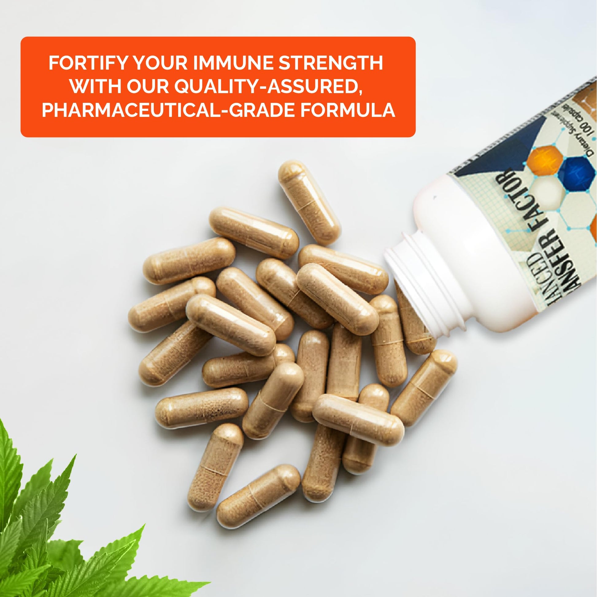 Transfer Factor Enhanced, 100 Natural Capsules, Immune Support - Transfer Factor Multi Immune from Cow Colostrum, Egg Yolk & Special Blend of Mushrooms Dislafarm buy australia supplements