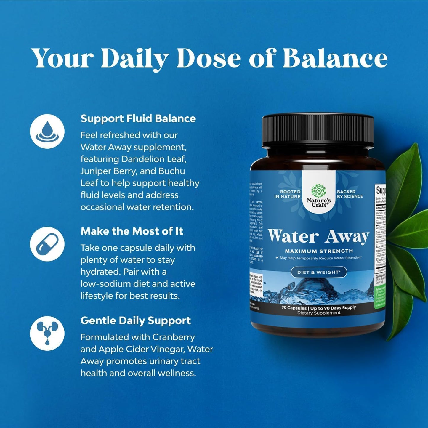 Water Away Herbal Diuretic Pills High Strength - Fluid Retention Supplement with Dandelion Leaf Extract & Green Tea for Bloating Relief for Women & Men - Capsules for Leg & Feet Swelling - 90 Count Gsupps Australia