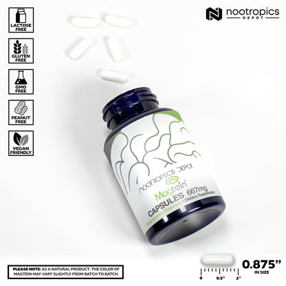 Nootropics Depot Magtein Magnesium L-Threonate Capsules | 90 Count | Mineral Supplement | Natural | Supports Mitochondrial Function | Boosts Energy and Cognitive Function