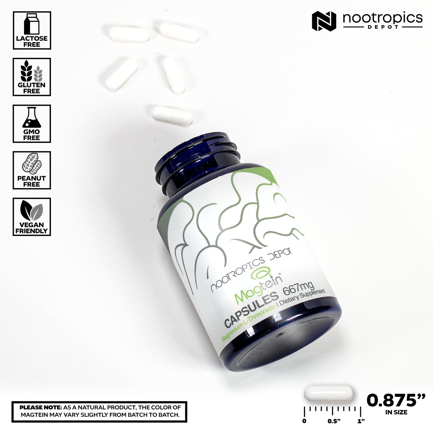 Nootropics Depot Magtein Magnesium L-Threonate Capsules | 90 Count | Mineral Supplement | Natural | Supports Mitochondrial Function | Boosts Energy and Cognitive Function