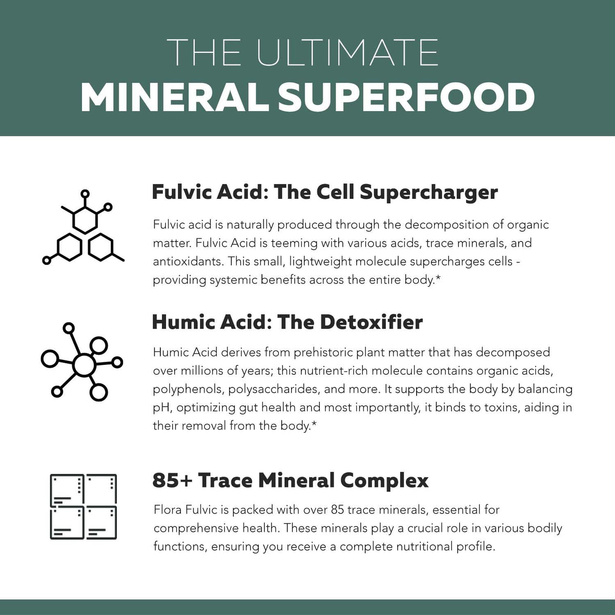 Flora Fulvic | Fulvic Acid + Humic Acid Complex – 550 mg |Mined in Utah, Prehistoric Deep Earth Extract | Immunity, Gut, Digestion – Natural Trace Mineral Complex Triquetra Health