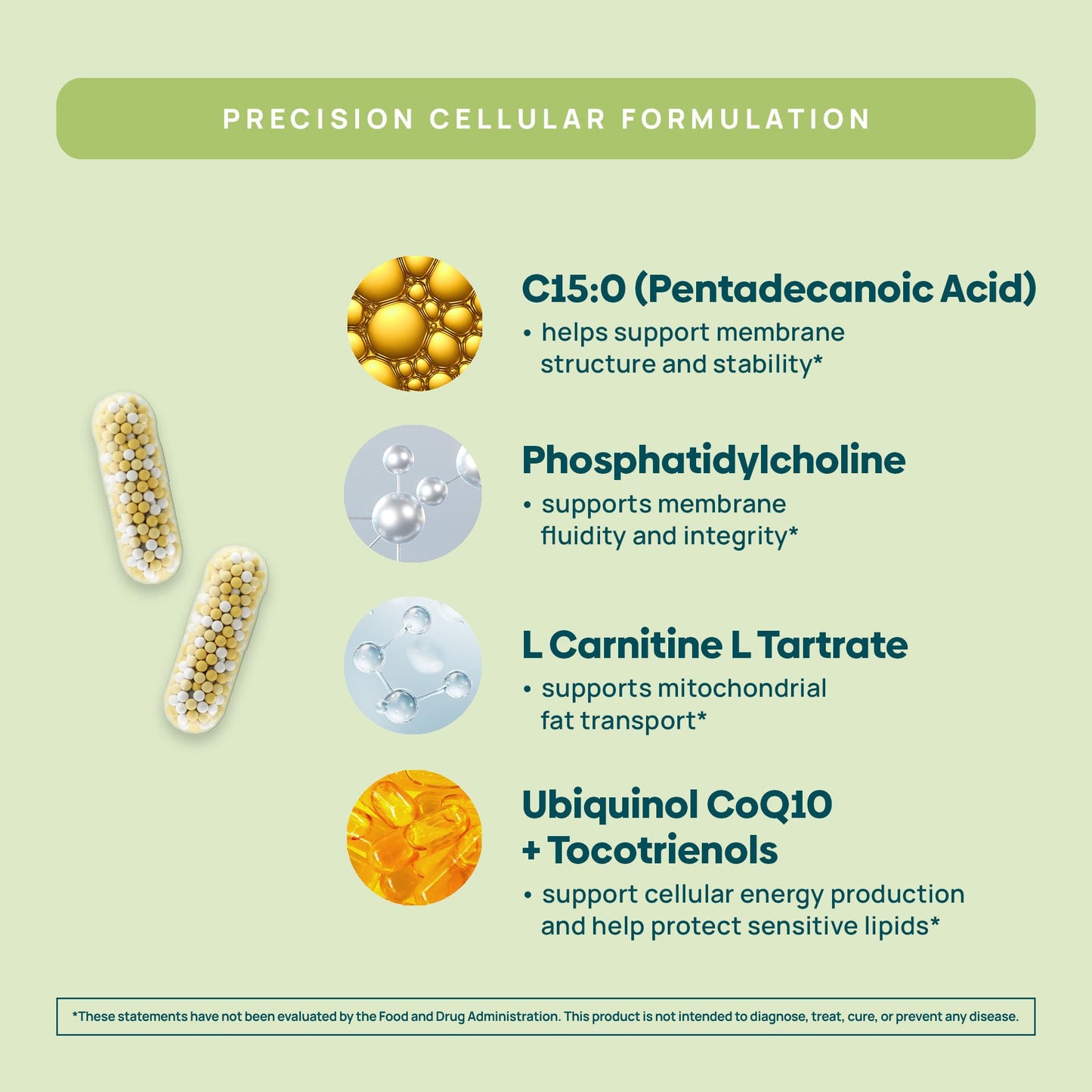 C15:0 Pentadecanoic Acid Supplement | Longevity, Cellular & Membrane Support, Micro-Granule Enhanced Absorption, Phosphatidylcholine, L-Carnitine, Stay-Well Naturals