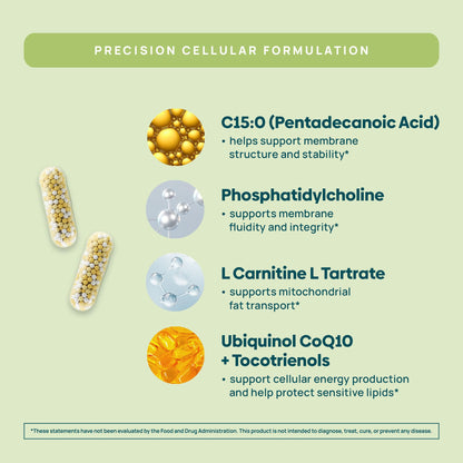 C15:0 Pentadecanoic Acid Supplement | Longevity, Cellular & Membrane Support, Micro-Granule Enhanced Absorption, Phosphatidylcholine, L-Carnitine, Stay-Well Naturals