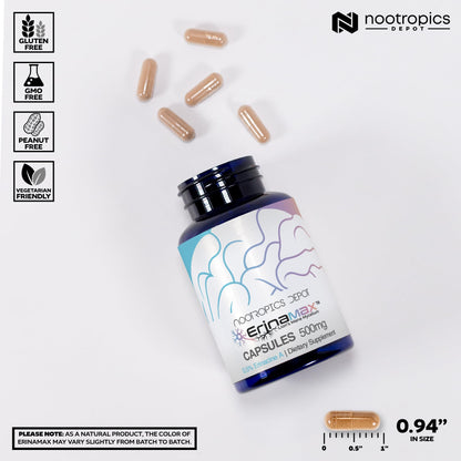 Nootropics Depot Erinamax Lion's Mane 500mg Capsules | Liquid Culture Mycelium | 2.5mg Erinacine A | Mood, Cognition, & Nerve Support | 60 Count