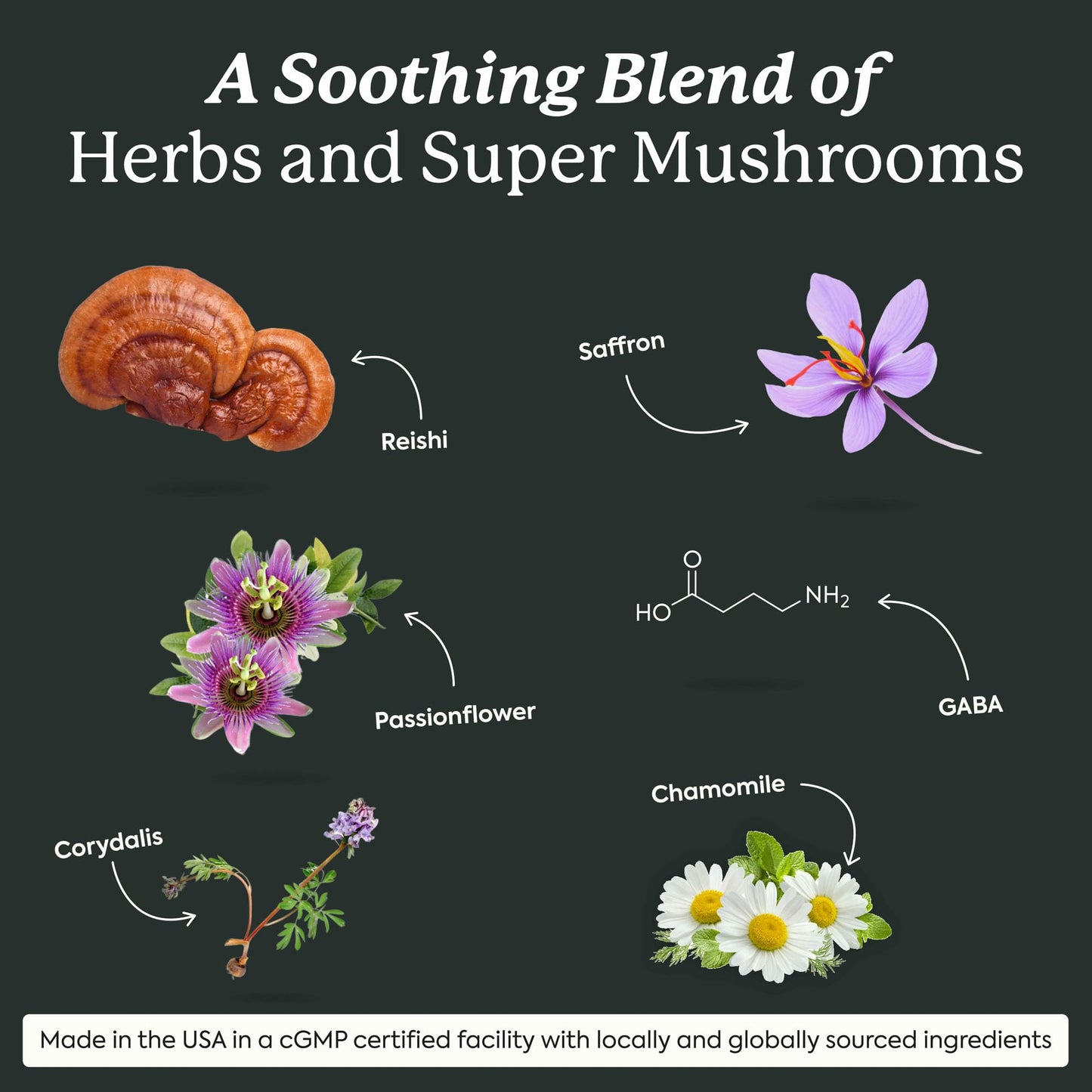 Plant People WonderSleep Mushroom Gummies Supplement for Sleep, No Melatonin with Reishi Super Mushrooms, Wild Elderberry Flavor, Sugar-Free (60 Count) Plant People