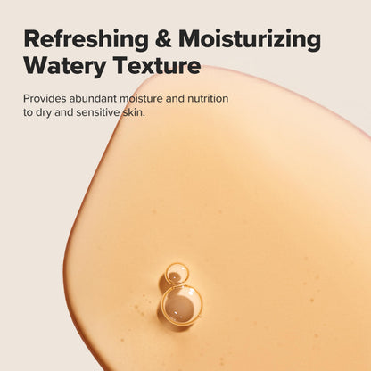 Beauty of Joseon Ginseng Essence Water Hydrating Face Toner for Dry, Dull Skin. Korean Moisturizing Skin Care Beauty of Joseon
