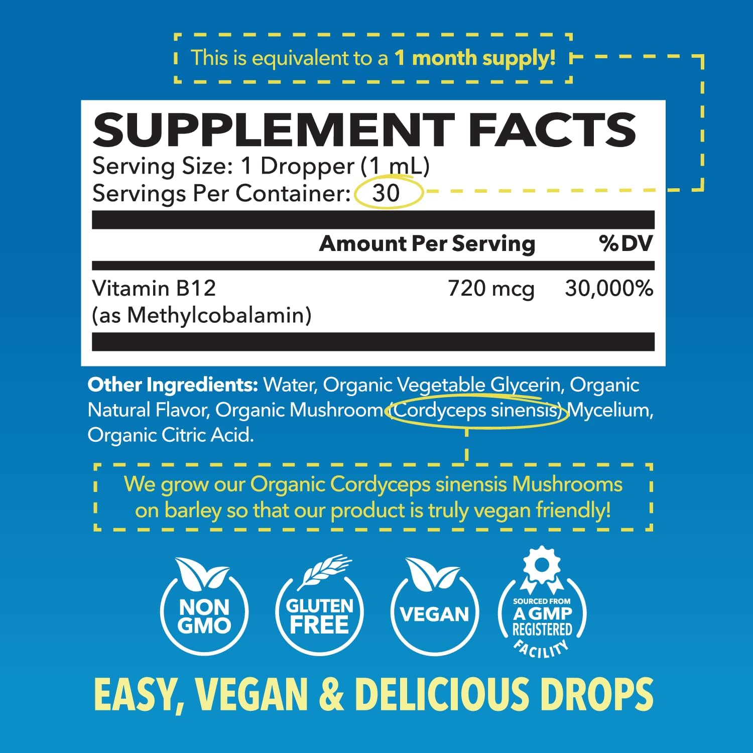 Organic Vitamin B12 Liquid Drops, Strawberry, Enhanced Energy, 1 Fl Oz | USDA Organic Vitamin B12 Liquid Drops, Highly Bioavailable Methylcobalamin for Nervous System Support, 30 Servings, Non-GMO Gsupps Australia