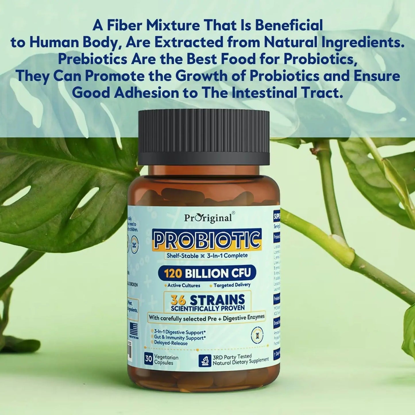 Probiotics for Women & Men 120 Billion CFU with 36 Probiotic Strains for Digestive Health and Gut Health, Delayed Release Capsules, Stomach Acid Resistant, Proriginal