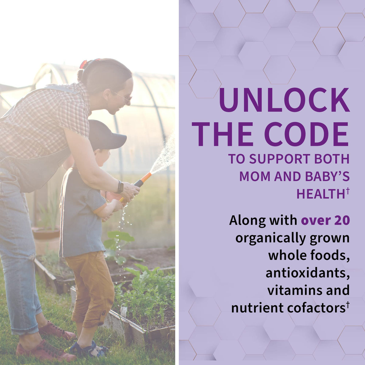 Garden Of Life, Raw Vitamin Code Prenatal, 180 Vegetarian Capsules Garden of Life
