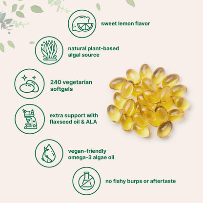 Micro Ingredients Vegan Omega 3 Algae Oil, 240 Veggie Softgels | Fish Oil Alternative | DHA 500mg & DPA 100mg | Carrageenan Free | Plant-Based Omega 3 Micro Ingredients