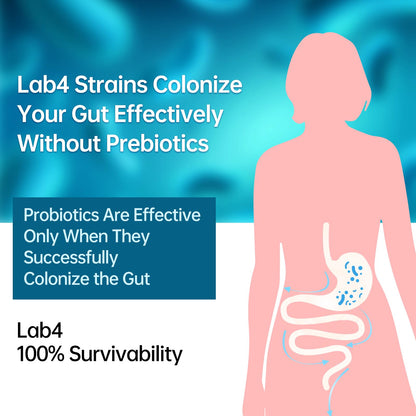 purmeo Probiotics for IBS Anti Diarrhea, Gas, Bloating - Support Immune, Digestive & Gut Health - Clinical Proven Lab4 Strains IBS-D Supplement 20 Billion CFU, purmeo