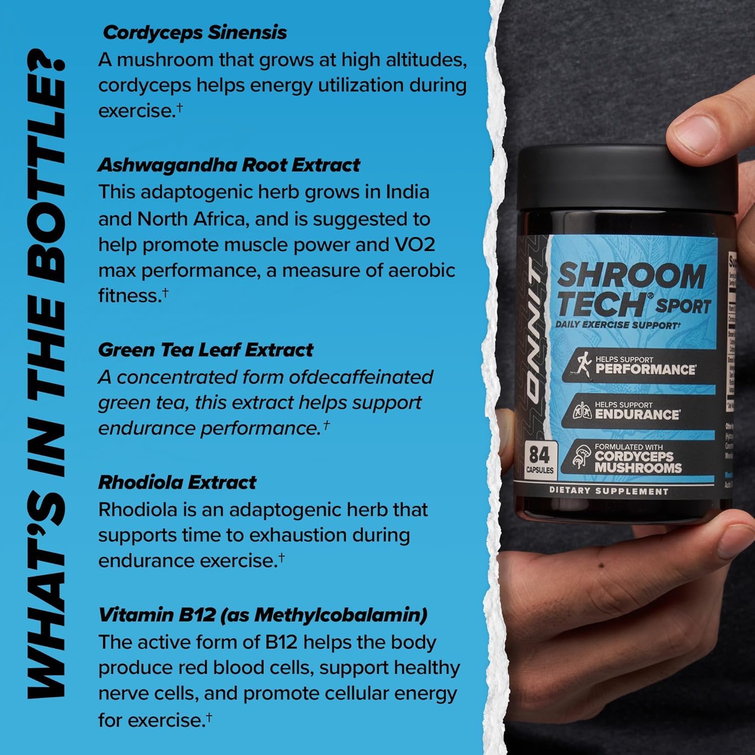 ONNIT Cognitive & Endurance Support Bundle: Alpha Brain Nootropic Capsules (30 Count) + Shroom Tech Sport Exercise Support Capsules (28 Count), IGEN Non-GMO Tested Focus, Energy & Endurance, 2 Pack ONNIT buy australia supplements