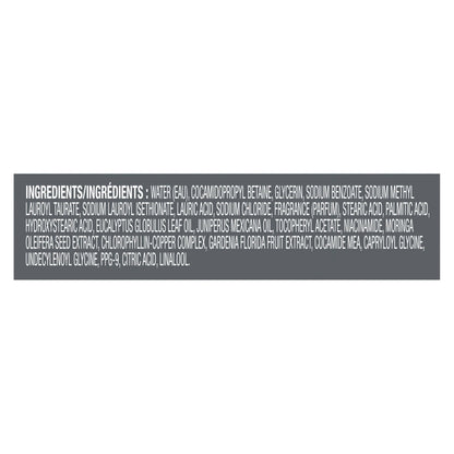 Dove Men Moisturizing Body Wash, Eucalyptus + Cedar Oil, 26oz DOVE MEN + CARE