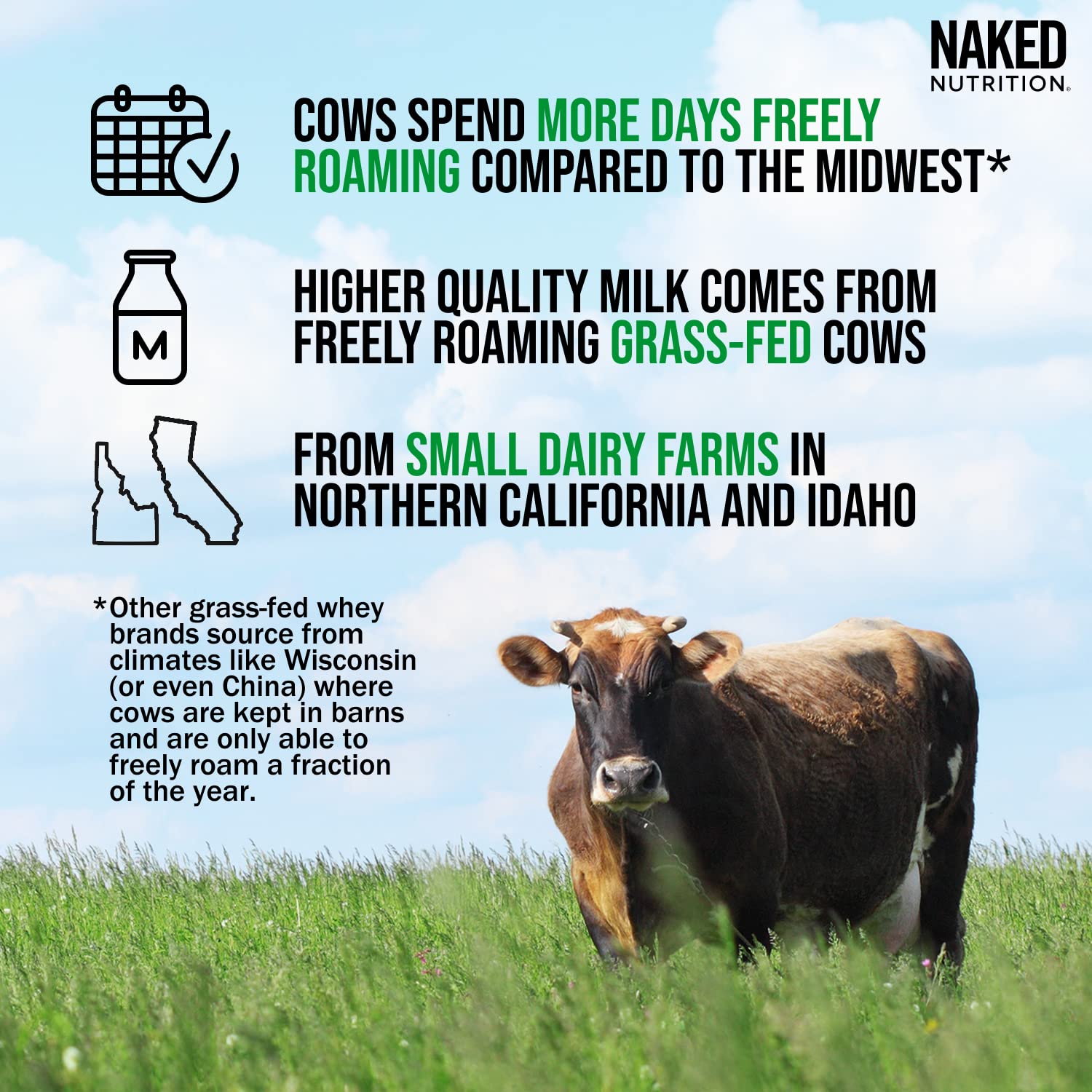 NAKED Nutrition Whey Vanilla Protein - All Natural Grass Fed Whey Protein Powder NAKED buy australia supplements
