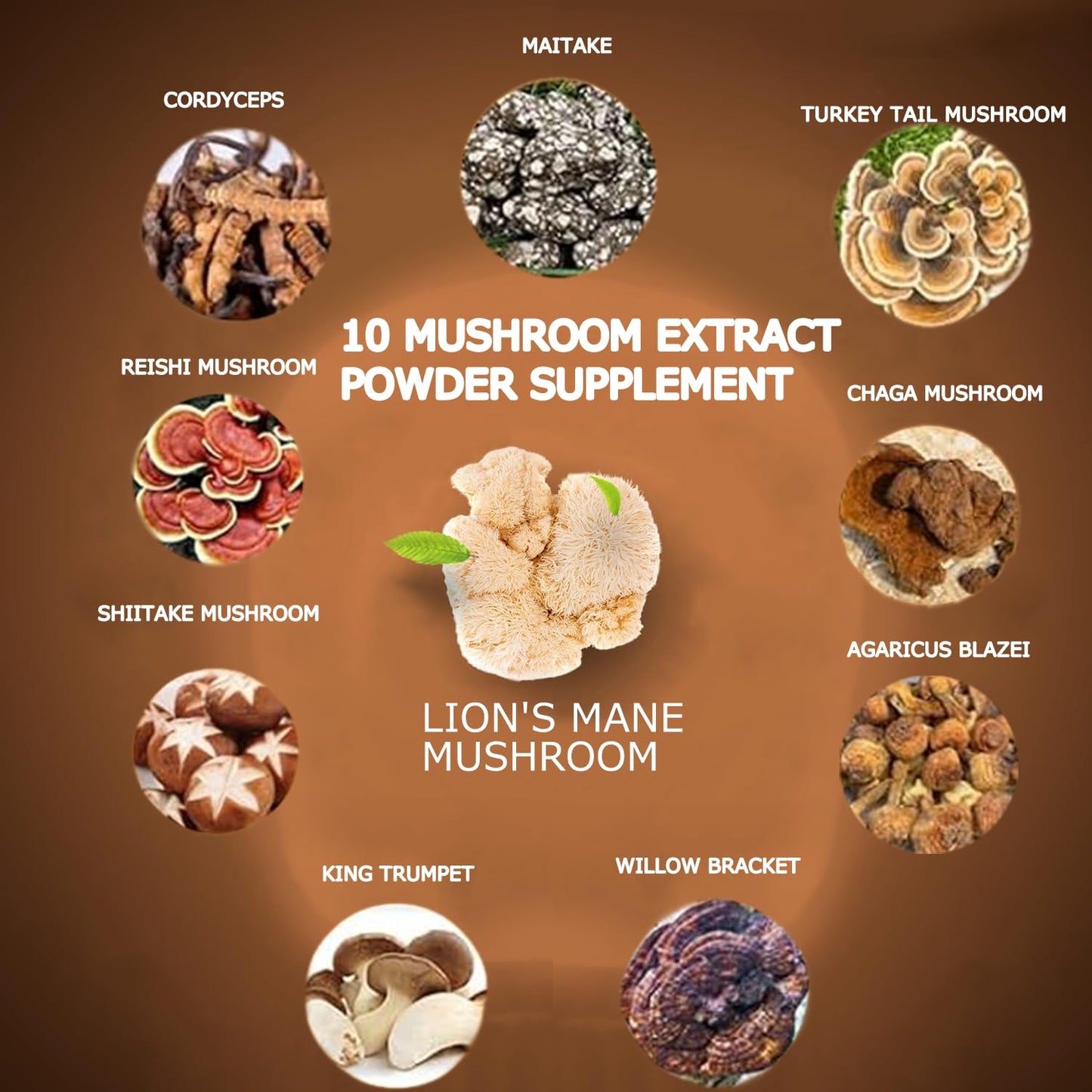 Suiyilary Mushroom Coffee, 10 Mushroom Extract Powder Blend Lion's Mane, Reishi, Chaga Suiyilary