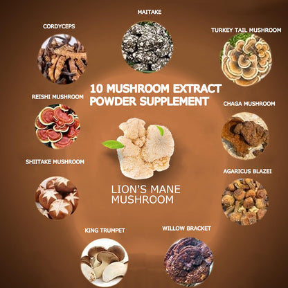 Suiyilary Mushroom Coffee, 10 Mushroom Extract Powder Blend Lion's Mane, Reishi, Chaga Suiyilary