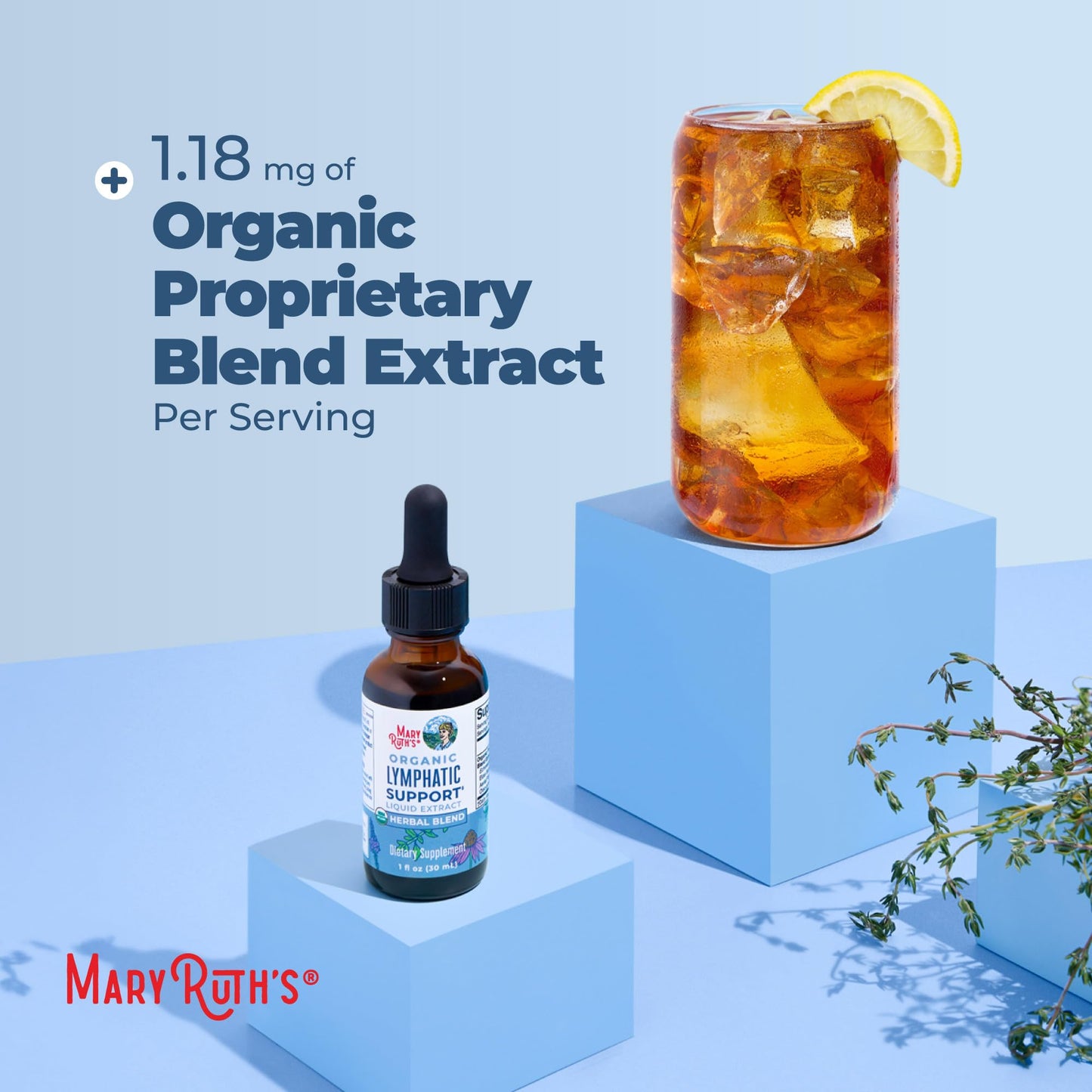 MARYRUTH'S Lymphatic Support Liquid Drops USDA Organic | Herbal Blend with Echinacea & Elderberry | Blue Vervain MARYRUTH'S