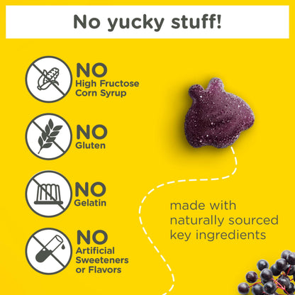Zarbee’s Kids Elderberry Immune Support Supplement Gummies, Vitamins A C D3 E & Zinc, Elderberry Extract, Gluten & Gelatin Free Zarbee's