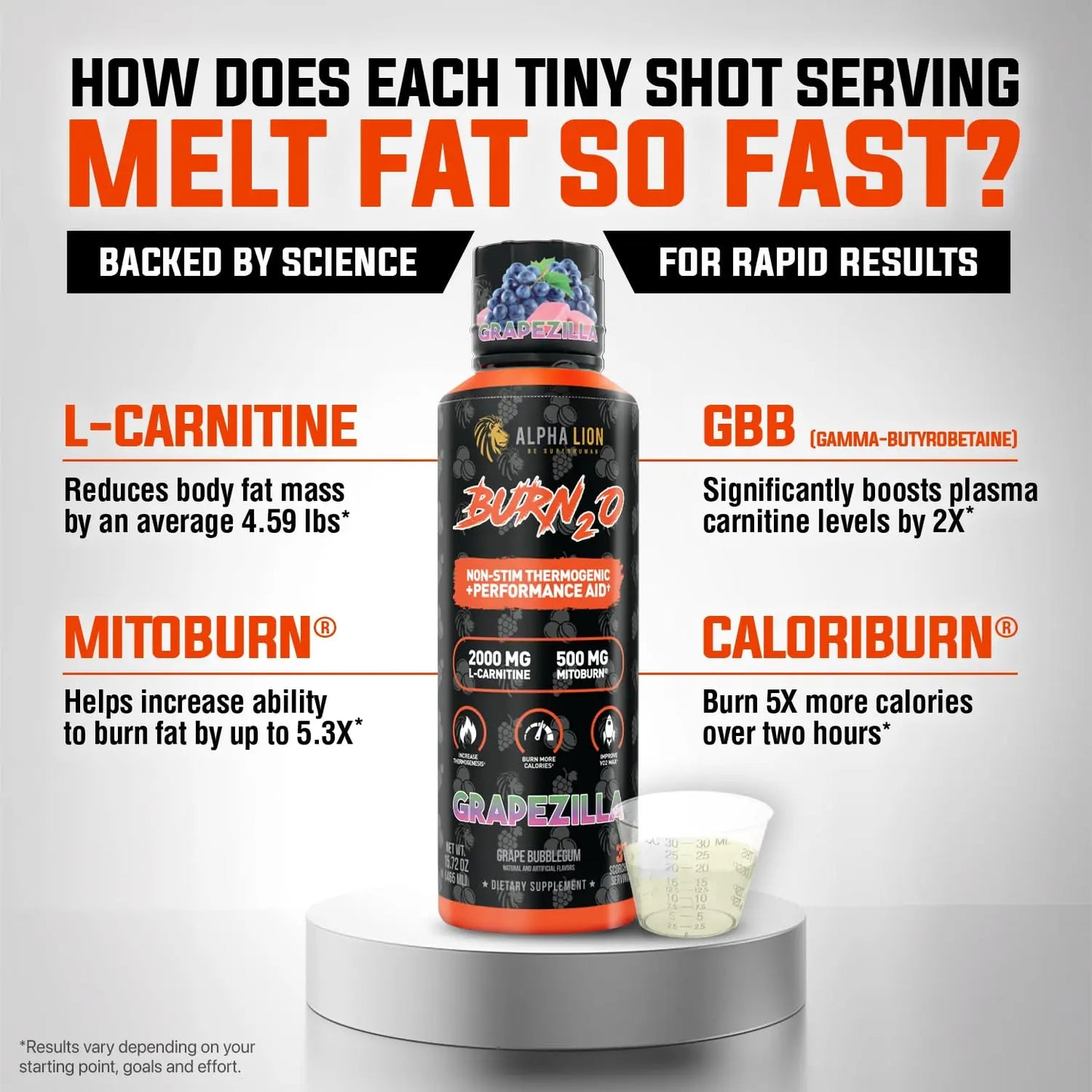ALPHA LION Burn2O L-Carnitine Liquid 2000mg – Stim Free Super Thermogenic Fat Burner with MitoBurn® & CaloriBurn GP®, Metabolism Booster, Zero Calorie ALPHA LION
