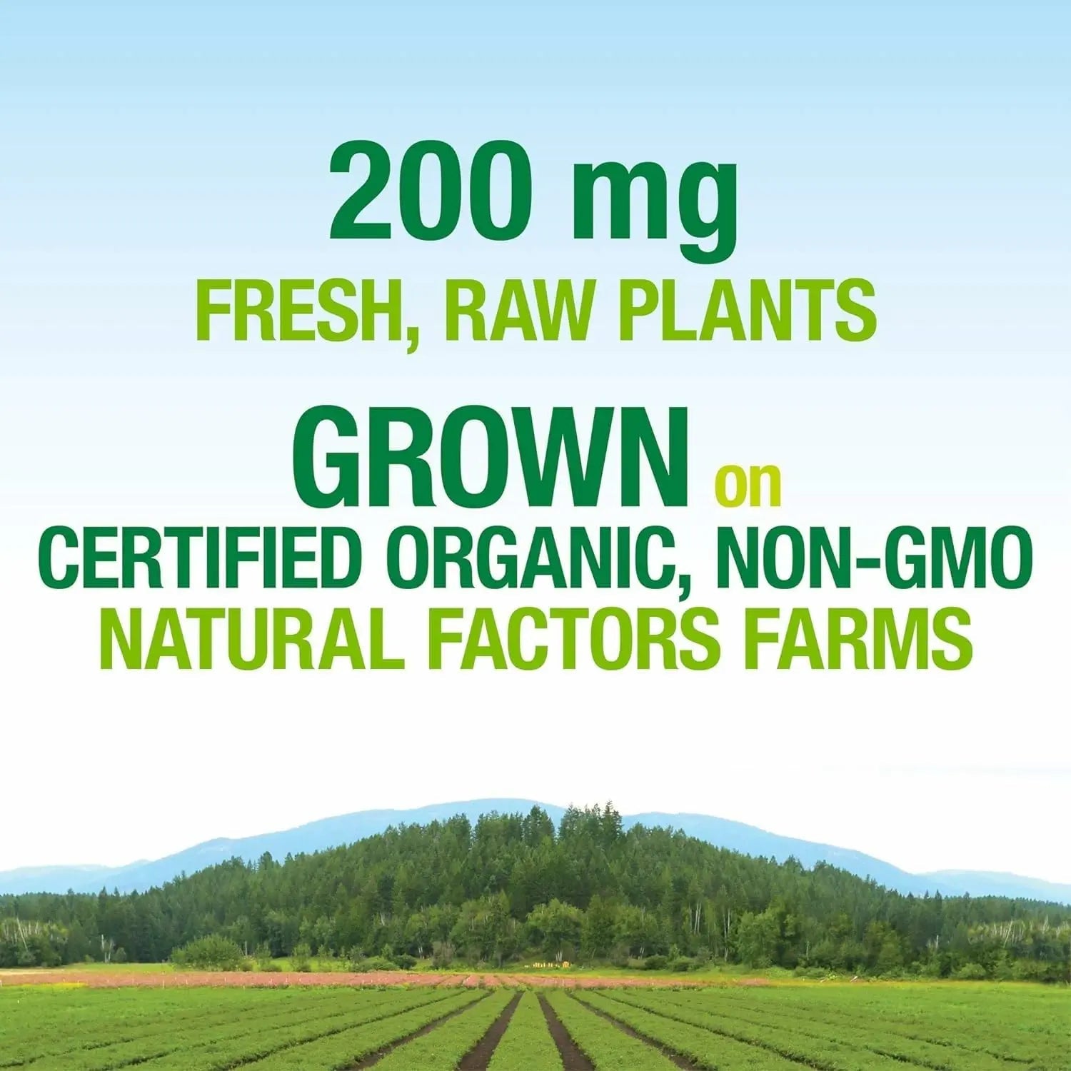 Natural Factors Whole Earth & Sea, Women's Prenatal Multivitamin and Mineral, Whole Food Supplement, Vegan, 120 Tablets Natural Factors buy australia supplements