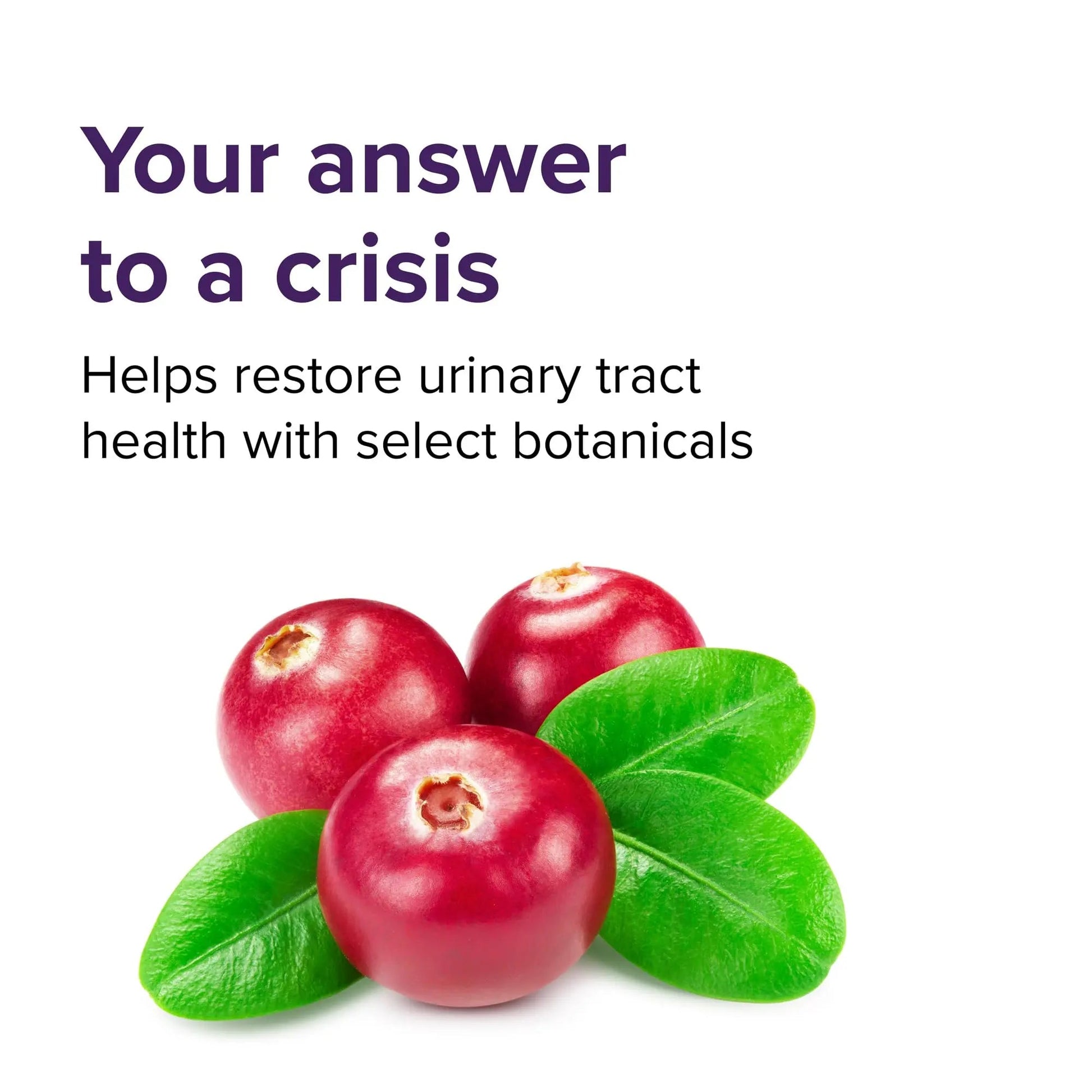 Vibrant Health, U.T. Vibrance Stick Packs, Crisis Intervention for Urinary Tract Health, 10 Servings Vibrant Health buy australia supplements