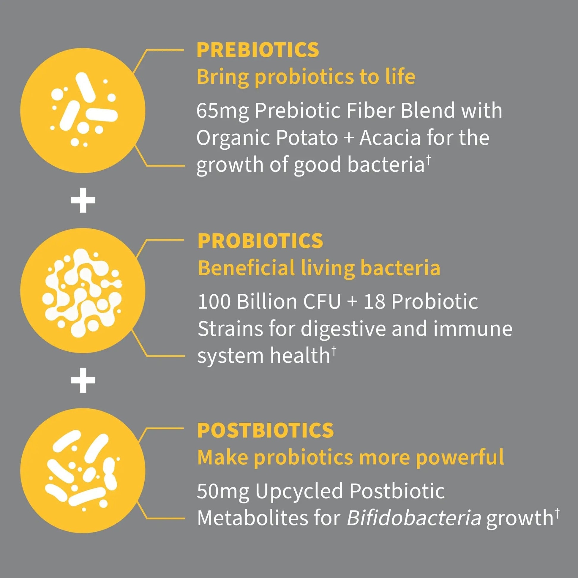 Garden of Life Dr Formulated Probiotics 100 Billion CFU Pre + Pro + Postbiotics - Extra Strength Digestive & Immune Support for Men and Women, Potato, Acacia, Postbiotic Metabolites, 30 Capsules Garden of Life buy australia supplements