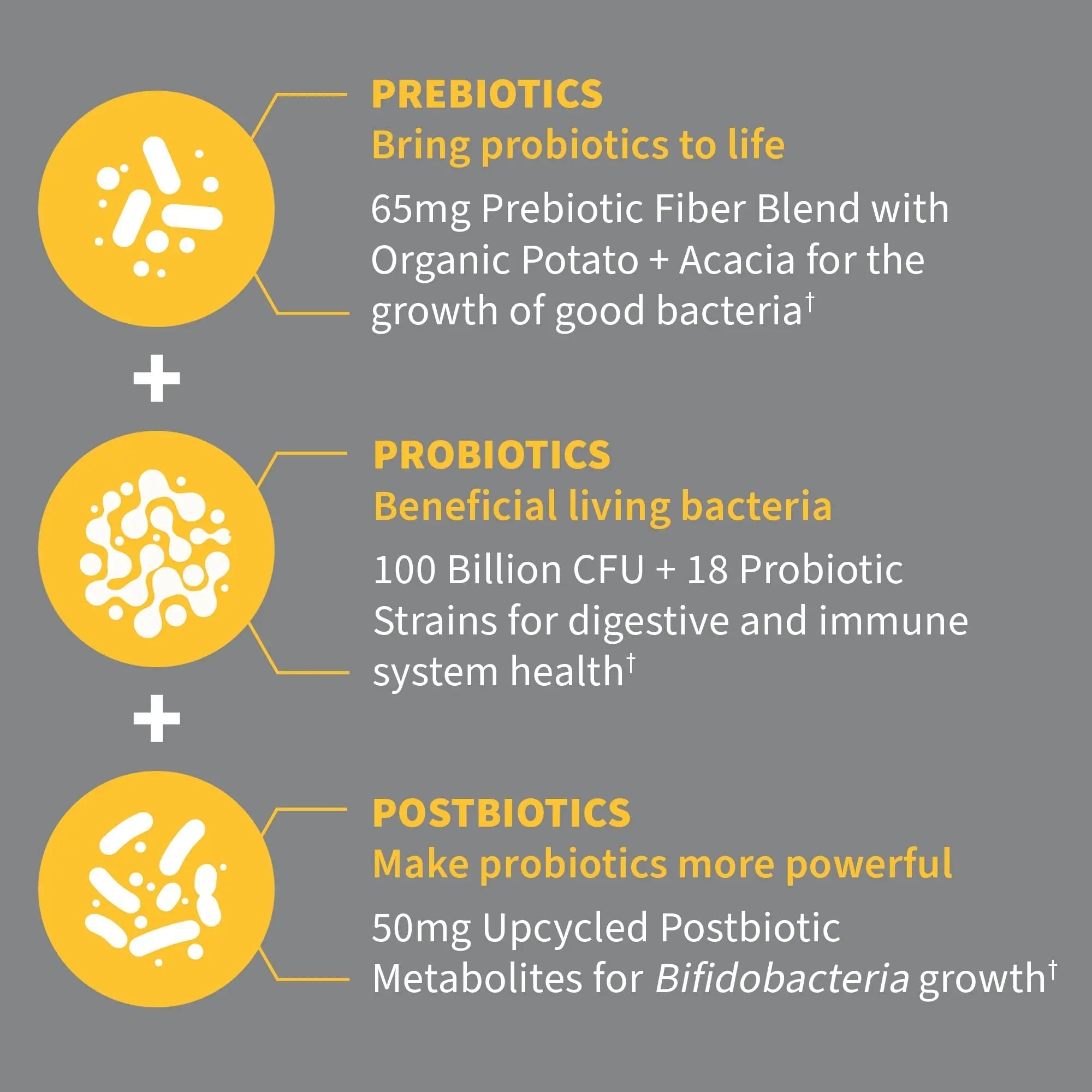 Garden of Life Dr Formulated Probiotics 100 Billion CFU Pre + Pro + Postbiotics - Extra Strength Digestive & Immune Support for Men and Women, Potato, Acacia, Postbiotic Metabolites, 30 Capsules Garden of Life buy australia supplements