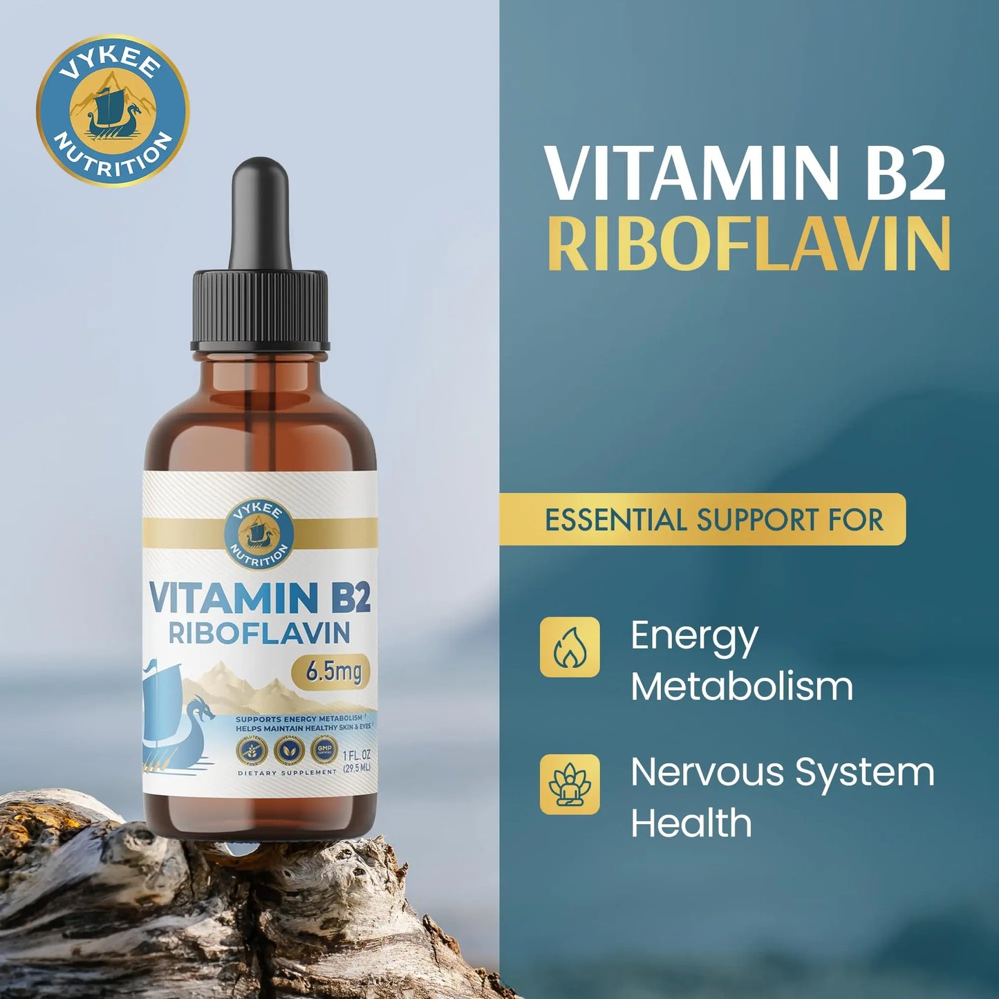 Vykee Nutrition Vitamin B2 Riboflavin Drops - Liquid B2 Supplement for Energy Metabolism, Cellular Function and Vision Support - Vegan, Non-GMO, Gluten-Free Vykee Nutrition