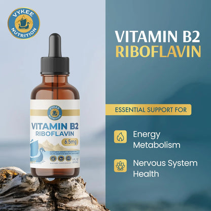 Vykee Nutrition Vitamin B2 Riboflavin Drops - Liquid B2 Supplement for Energy Metabolism, Cellular Function and Vision Support - Vegan, Non-GMO, Gluten-Free Vykee Nutrition