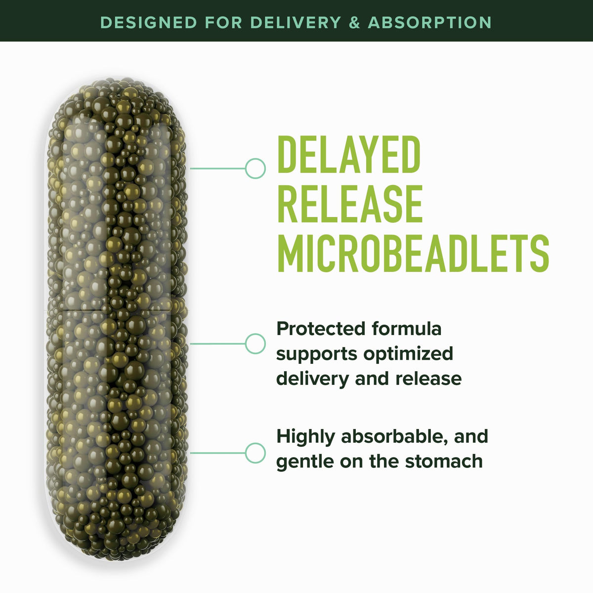 50MG Sulforaphane Supplement from Broccoli Sprouts | NRF2 Activation, Cellular Health & Immune Support | Glucoraphanin, Myrosinase & Antioxidants | Third-Party Tested SMNutrition