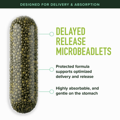50MG Sulforaphane Supplement from Broccoli Sprouts | NRF2 Activation, Cellular Health & Immune Support | Glucoraphanin, Myrosinase & Antioxidants | Third-Party Tested SMNutrition