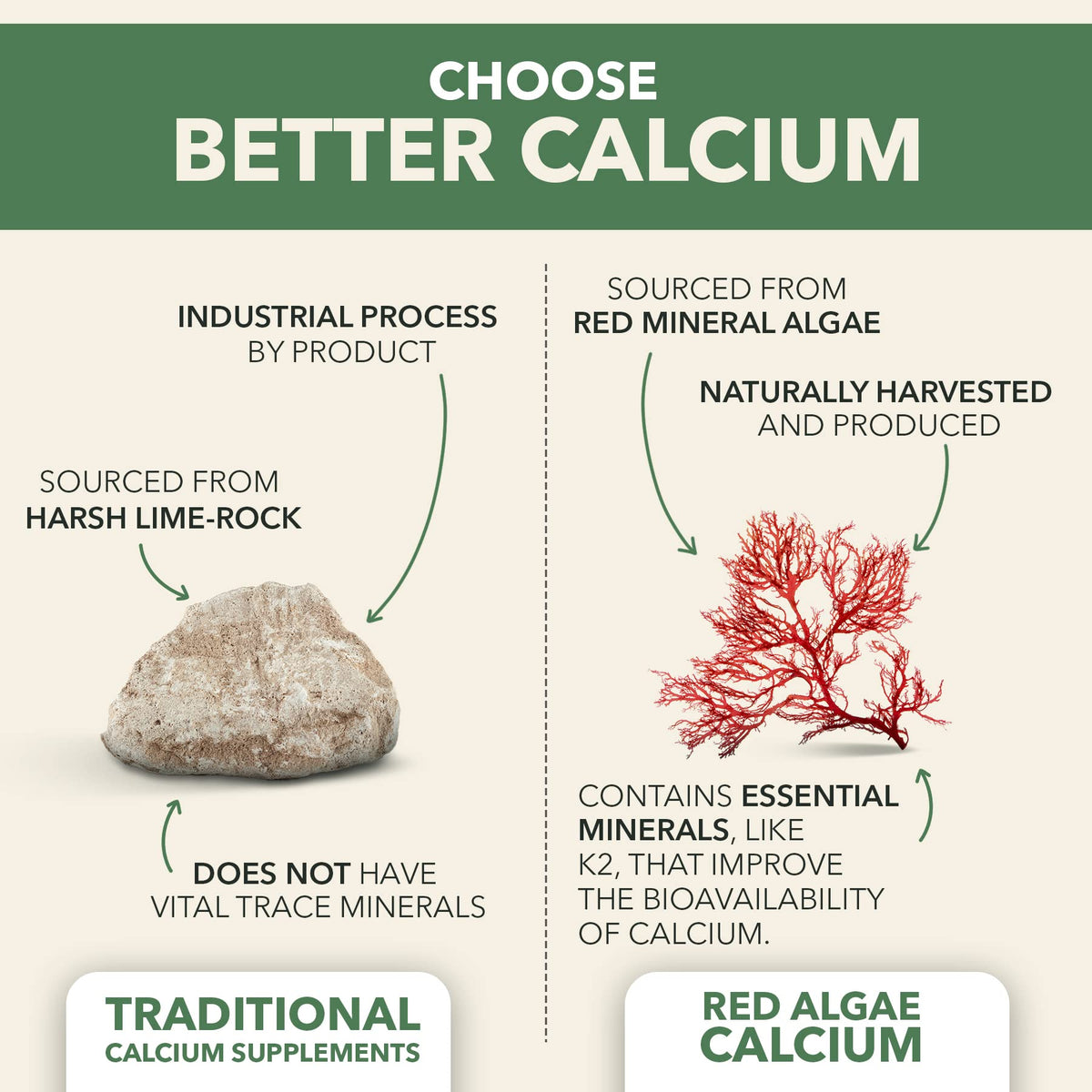 PlantFusion Vegan Calcium, Premium Plant Based Calcium (1000mg) Sourced from Icelandic Red Algae, Plus Magnesium, D3, K2 PlantFusion